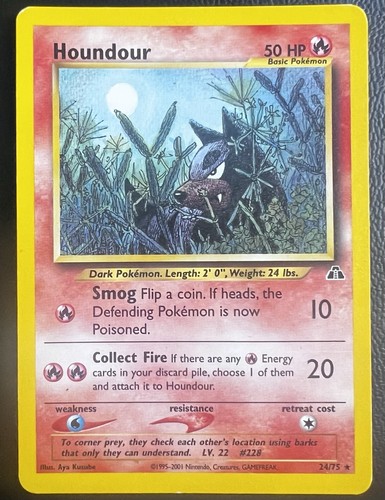 Houndour neo discovery - neo,