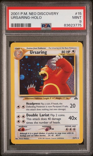 Ursaring holo neo - ursaring,
