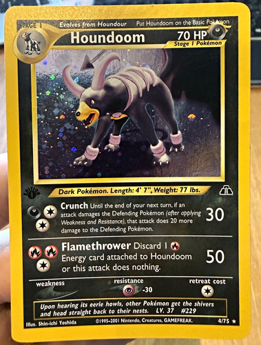 Pokémon houndoom first - -,