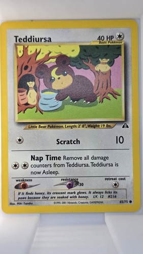 Teddiursa neo discovery - teddiursa, 65/75
